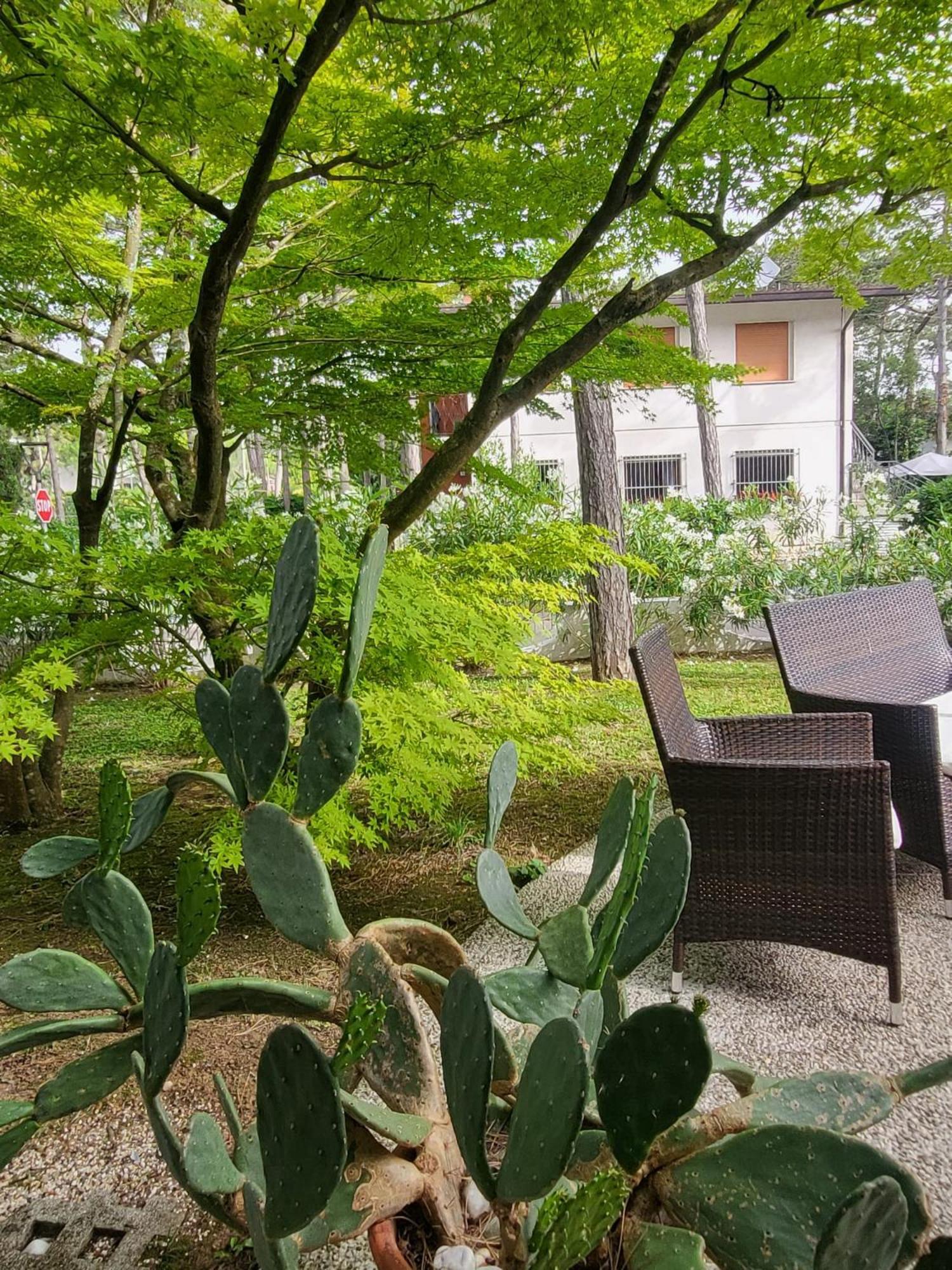 Hotel Olympia Lignano Sabbiadoro Eksteriør bilde